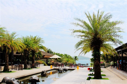潜水服哪个品牌好