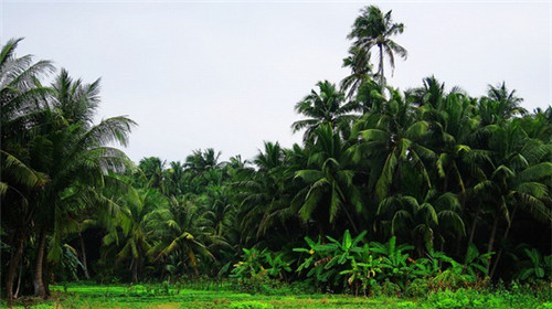 延安主题火锅店设计，延安主题火锅店设计理念